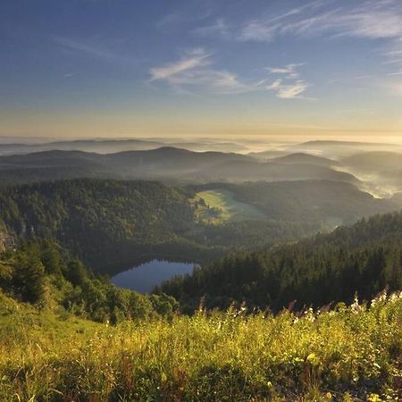 Waldloft Titisee 外观 照片