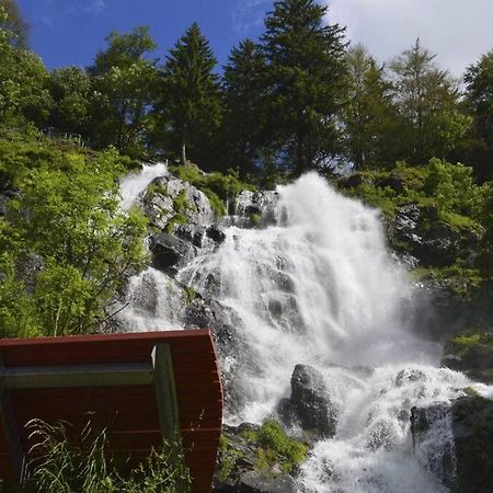 Waldloft Titisee 外观 照片