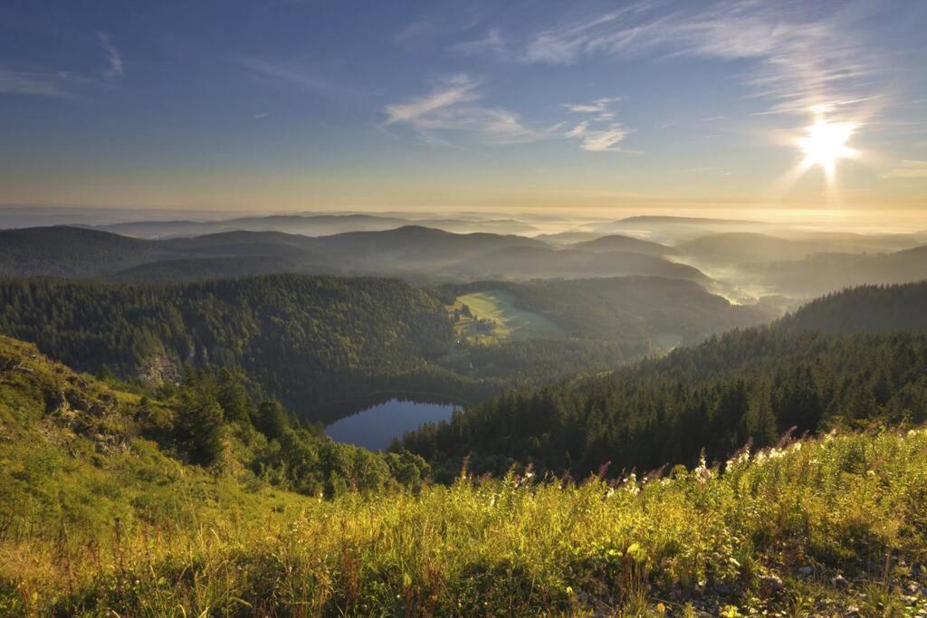 Waldloft Titisee 外观 照片