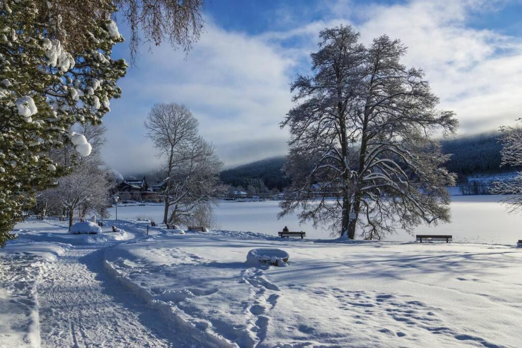 Waldloft Titisee 外观 照片