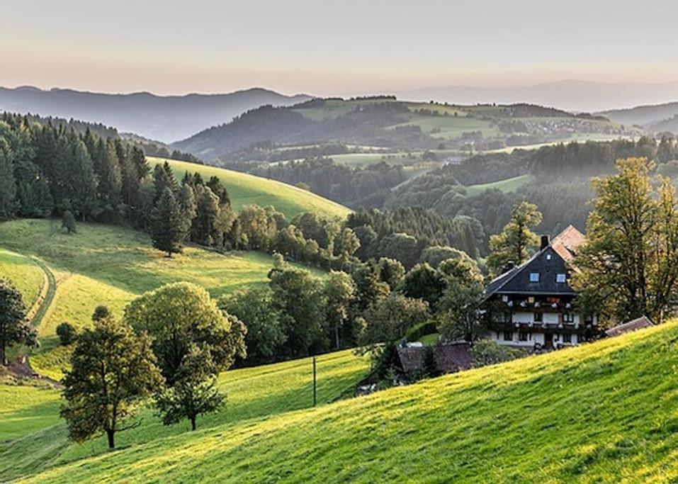 Waldloft Titisee 外观 照片