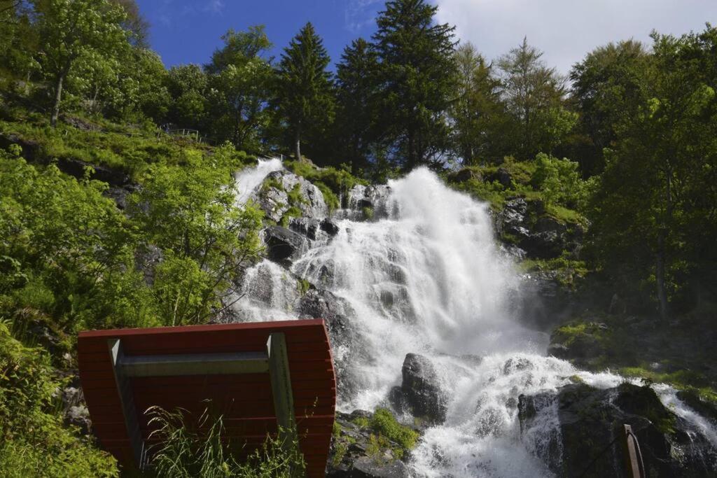 Waldloft Titisee 外观 照片