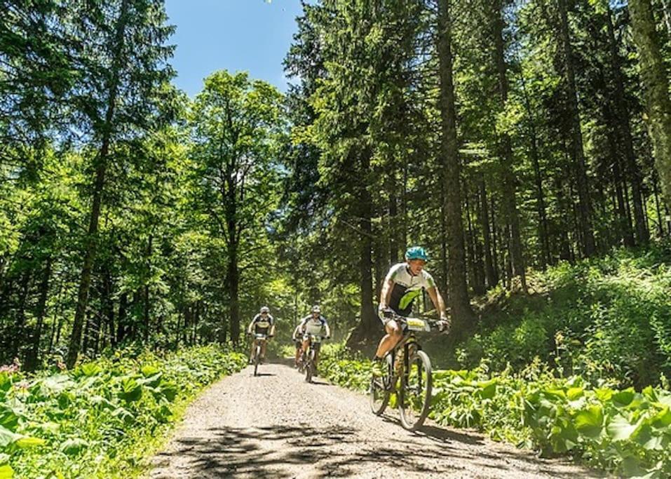Waldloft Titisee 外观 照片
