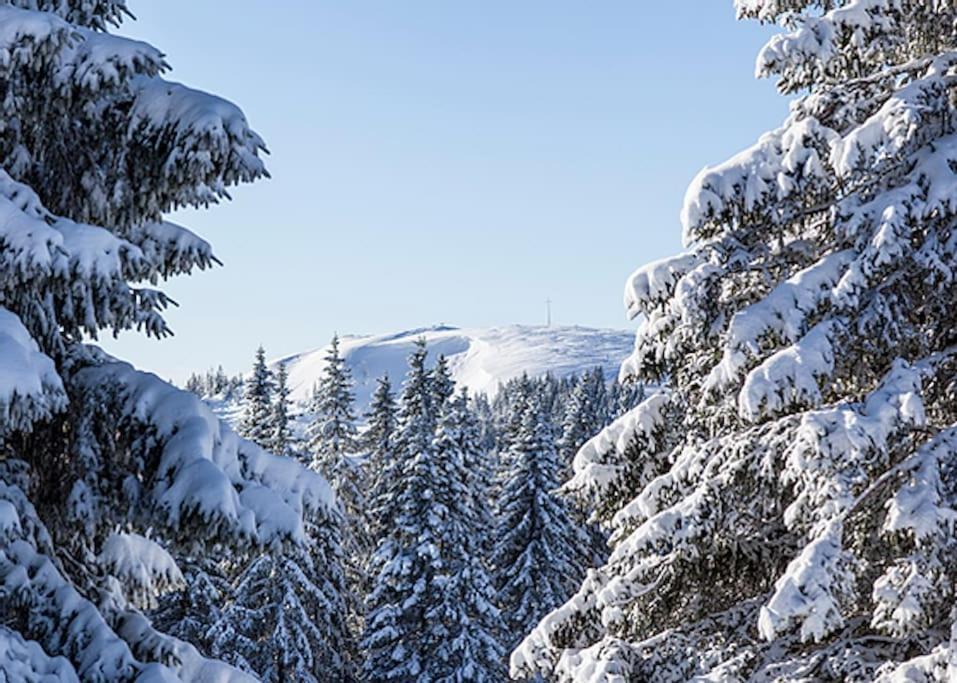 Waldloft Titisee 外观 照片